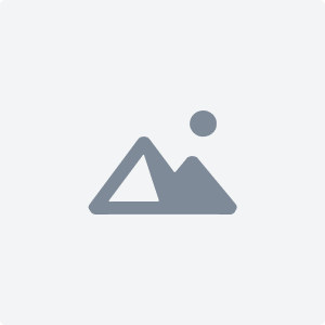 صورة البوابة